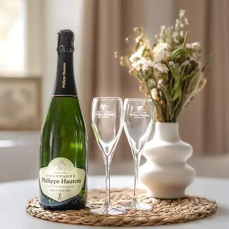 Appartement ô Pied Du Château *