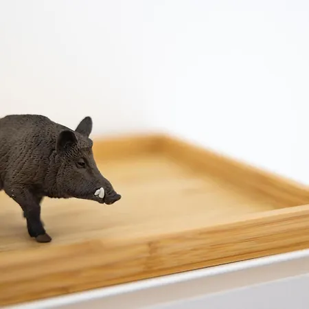 ô Pied Du Château *