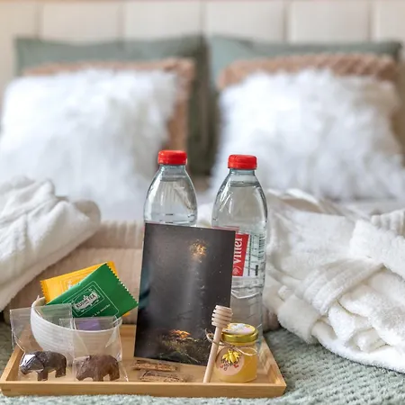 Appartement ô Pied Du Château