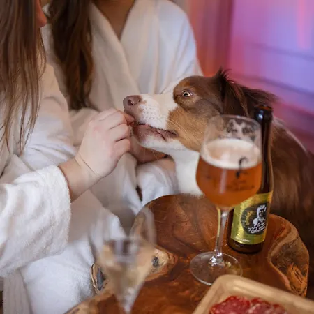 ô Pied Du Château Appartement