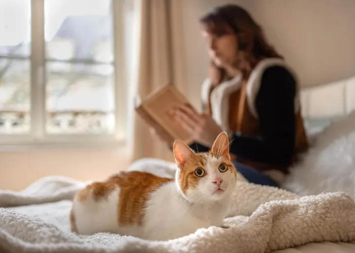 ô Pied Du Château Appartement *