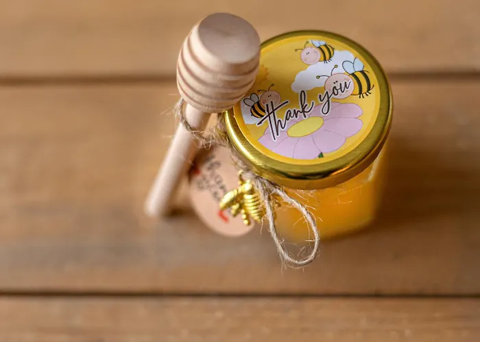 Appartement ô Pied Du Château