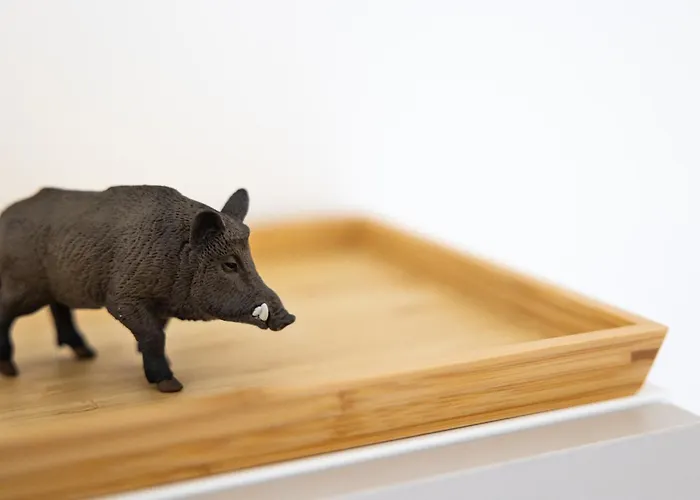 ô Pied Du Château *